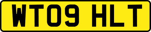 WT09HLT