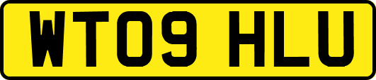 WT09HLU