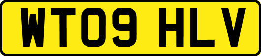 WT09HLV