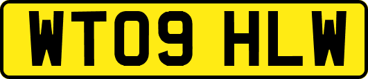 WT09HLW
