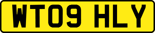 WT09HLY