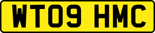 WT09HMC