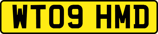 WT09HMD