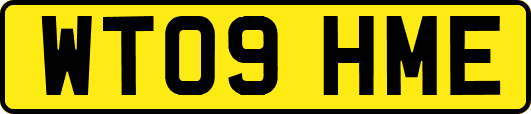 WT09HME