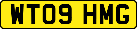 WT09HMG