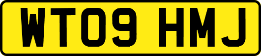 WT09HMJ