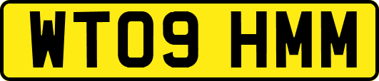 WT09HMM