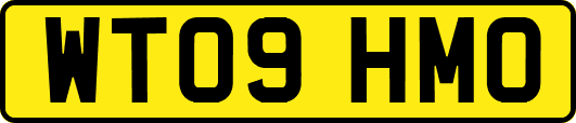 WT09HMO