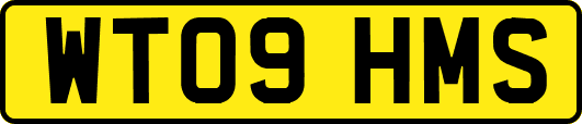 WT09HMS