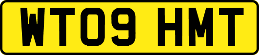 WT09HMT