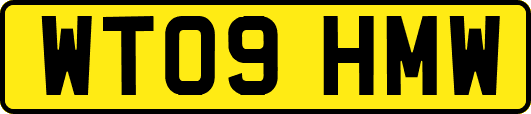 WT09HMW