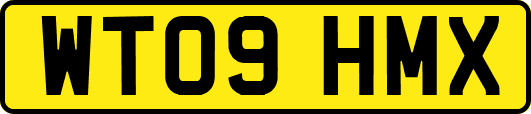 WT09HMX
