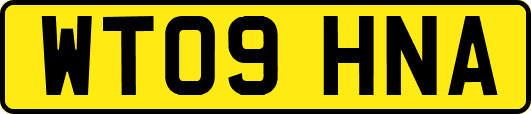 WT09HNA