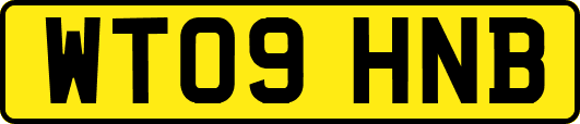 WT09HNB