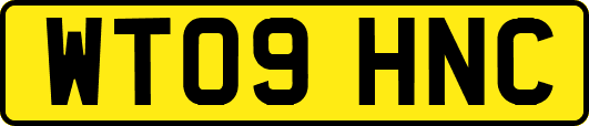WT09HNC