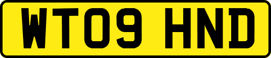 WT09HND