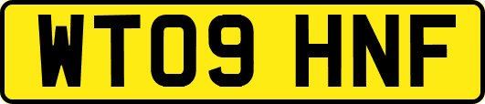 WT09HNF
