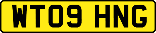 WT09HNG