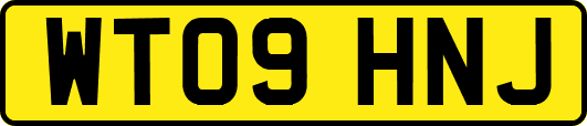WT09HNJ