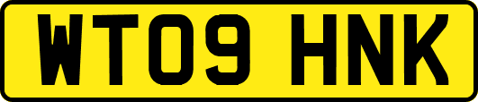 WT09HNK