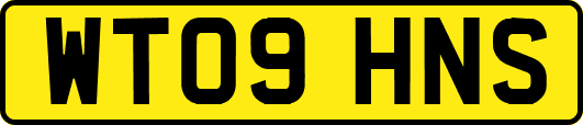 WT09HNS