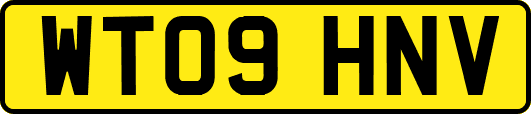 WT09HNV