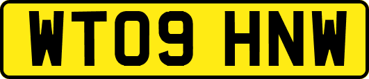 WT09HNW