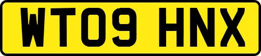 WT09HNX