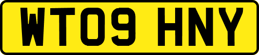 WT09HNY