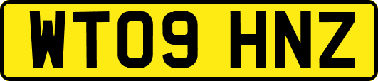 WT09HNZ