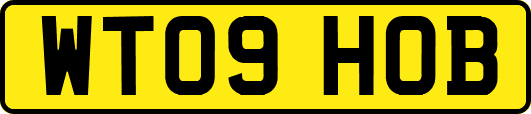 WT09HOB