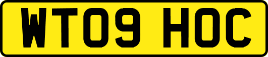 WT09HOC