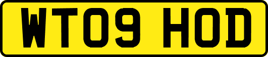 WT09HOD