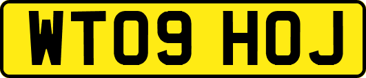 WT09HOJ
