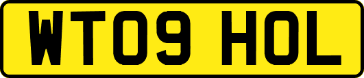 WT09HOL