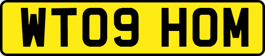 WT09HOM