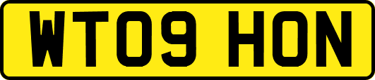 WT09HON