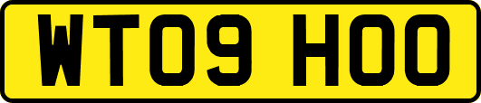 WT09HOO
