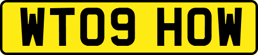 WT09HOW