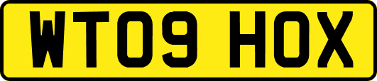 WT09HOX