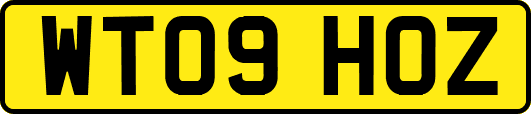 WT09HOZ