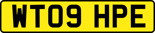 WT09HPE