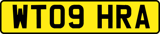WT09HRA
