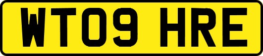 WT09HRE