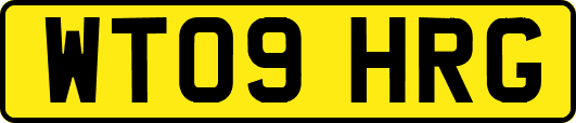WT09HRG