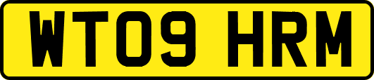 WT09HRM