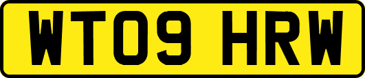 WT09HRW