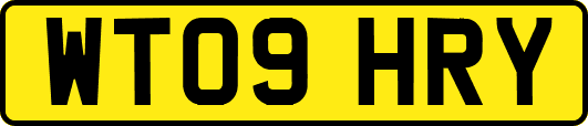 WT09HRY