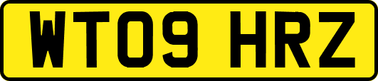 WT09HRZ