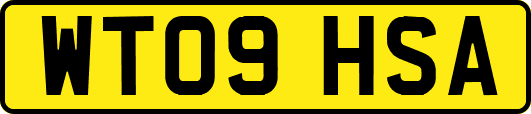 WT09HSA